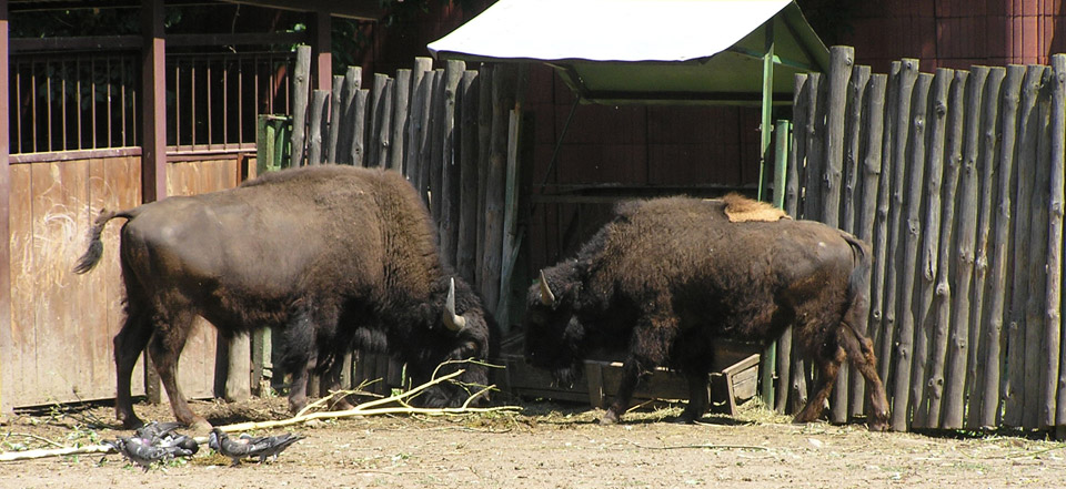 充值网站可靠的秋思短信轰炸平台
